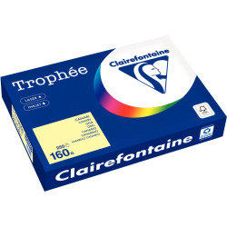 Paquet de 250 feuilles format A3 160g canari CLAIREFONTAINE