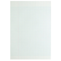 Copies doubles 200 pages non perforées 70g, format A4, seyès