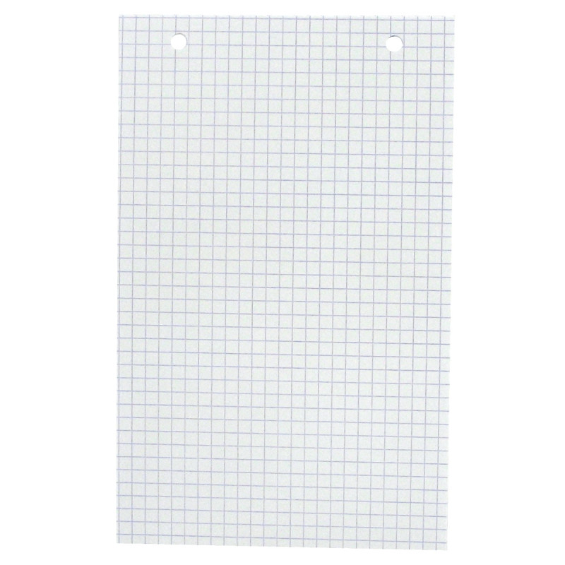 Boîte de 100 fiches bristol perforées carte forte 205 g blanc quadrill