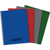 Reliure intégrale 100 pages CONQUERANT, 17x22 cm, 5x5, couverture poly