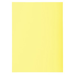 Paquet de 250 sous-chemises 60g format 22x31 cm canari