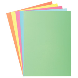 Paquet de 250 sous-chemises 60g format 22x31 cm coloris assortis