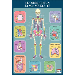 Poster en PVC 76x52cm le squelette