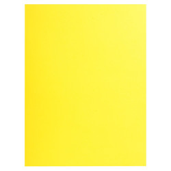 Paquet de 25 chemises Double Poche ROCK''S 210 - double A4 ou A3 - 24x32cm