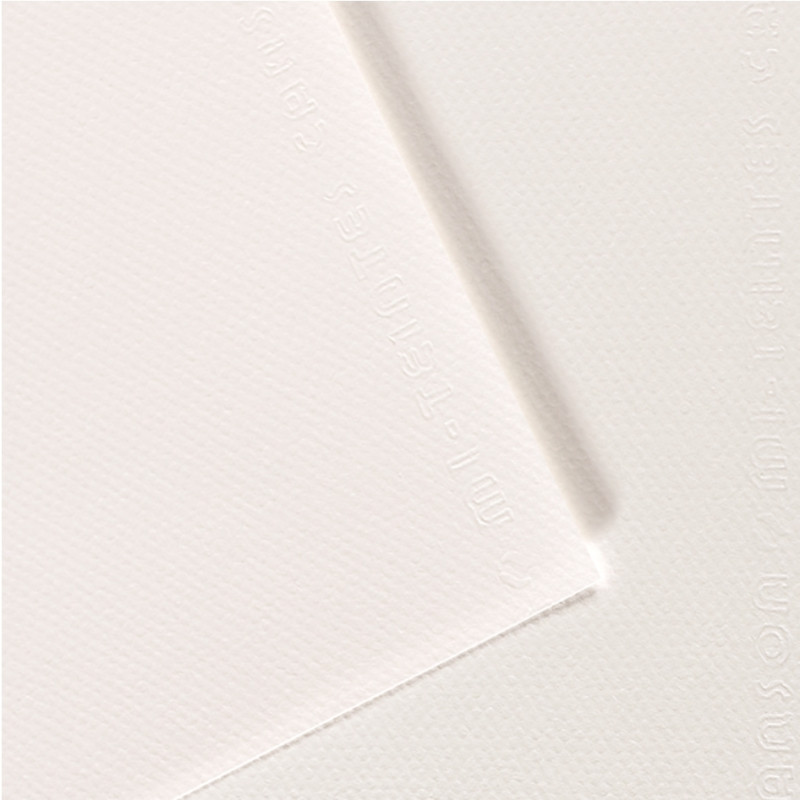 Paquet de 10 feuilles mi-teinte format 50x65cm blanc