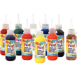 Carton de 10 Flacons 100 ml de peinture MAGIC PAINT