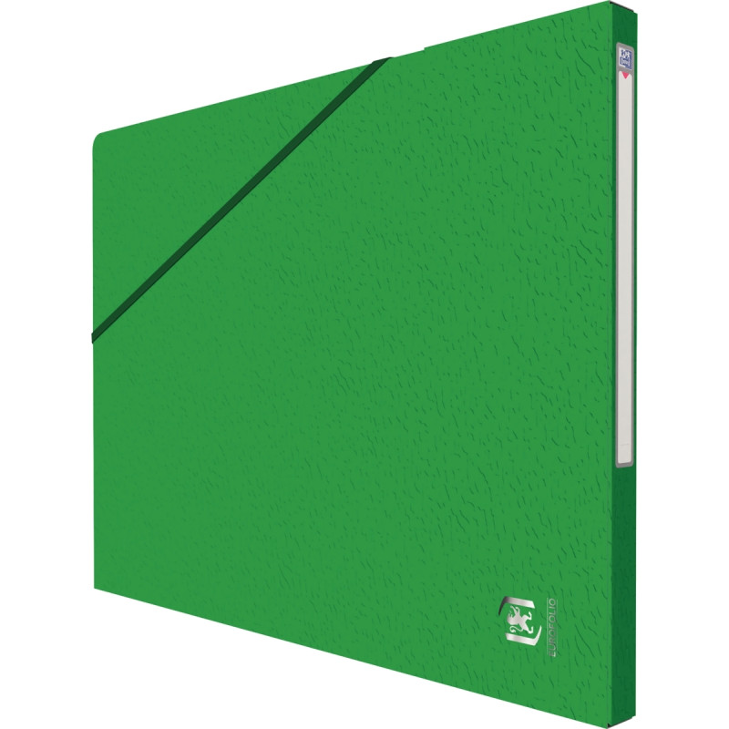 Carton de 10 chemises EUROFOLIO+ ALPINA, dos 15 mm, vert