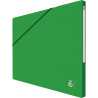 Carton de 10 chemises EUROFOLIO+ ALPINA, dos 15 mm, vert