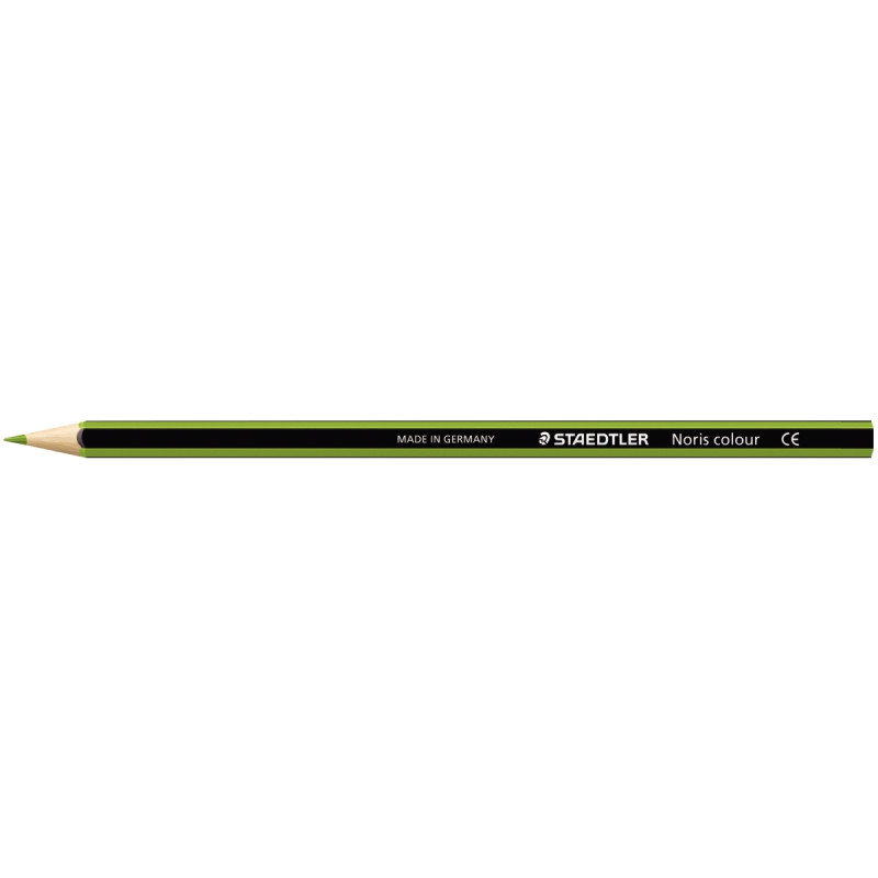 Étui de 12 crayons de couleur Colour vert clair