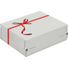 Paquet de 10 boite cadeaux 241 x 166 x 94