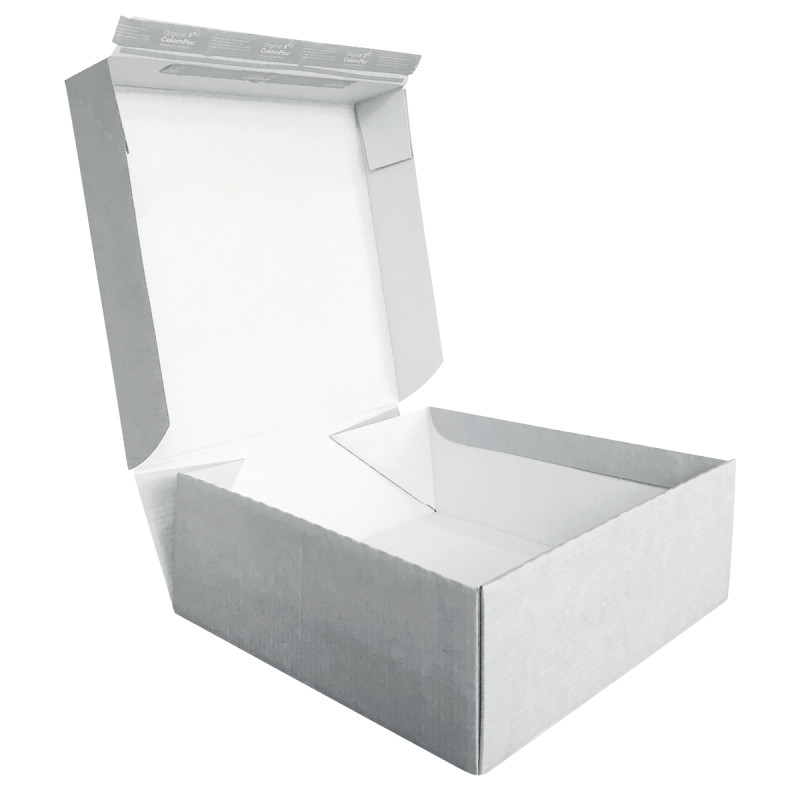 Paquet 15 FSHION BOX 445X379X195