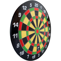 Cible aimantée + 12 fléchettes