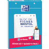 Bloc de 30 fiches bristol perforées 2 trous carte forte 210 g blanc qu
