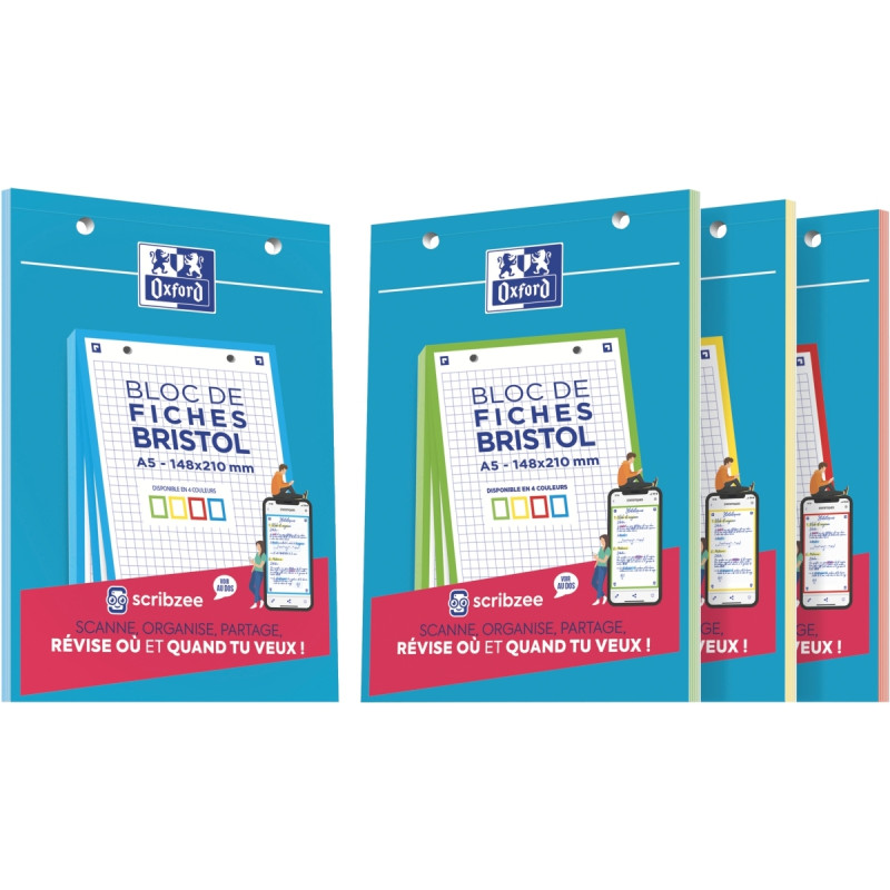 Bloc de 30 fiches bristol perforées 2 trous 210 g assorti quadrillé 5x