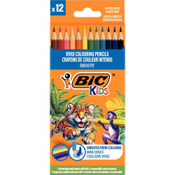 Etui de 12 crayons de couleur Smooth assortis