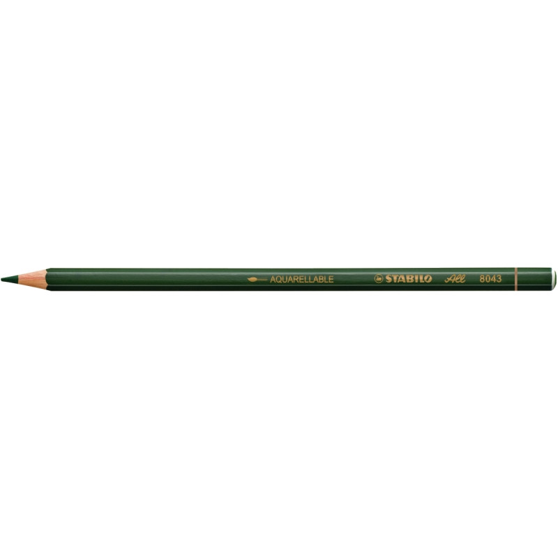 Boite de 12 crayons effaçables All verts