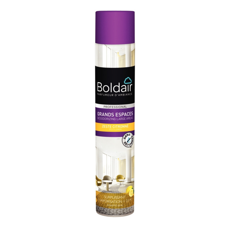 Aérosol 750ml destructeur d'odeurs citron