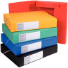 Carton de 10 boîtes de classement en carte lustrée CARTOBOX dos 6 cm,