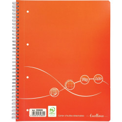 Cahier à reliure intégrale 160 pages EXCELLENCE, format A4+, quadrillé