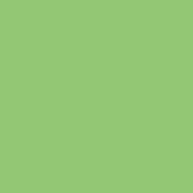 Paquet de 25 feuilles affiche 80g 60x80cm vert clair