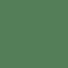 Paquet de 10 feuilles crépon ordinaire 200x50 cm vert foncé
