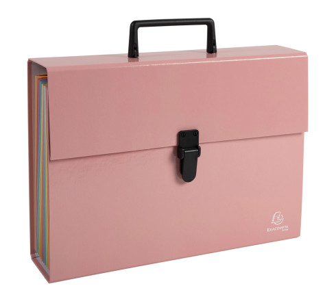 Trieur valisette 18 compartiments Aquarel livré en demi box palette