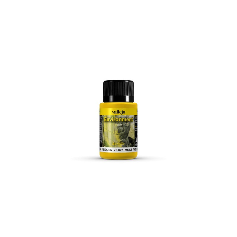 Peinture effets 40 ml : environnement moisissure et lichen