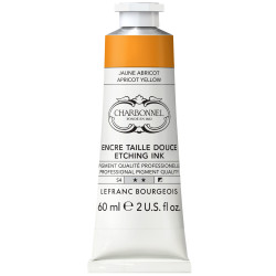 Encre Taille Douce 60 ml - 51 couleurs - 212 Jaune indien S4