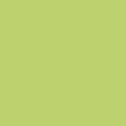 Paquet de 10 feuilles crépon supérieur 250x50 vert pré