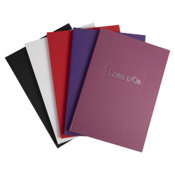Livre d'or 1M 220x270