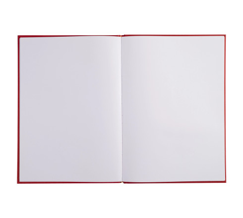 Livre d'or 1M 297x210