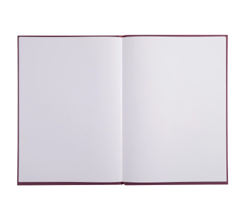 Livre d'or 1M 297x210