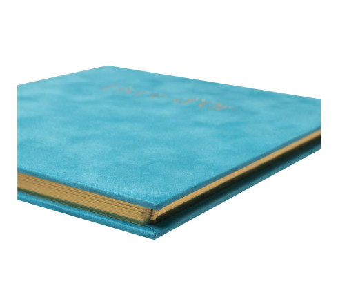 Livre d'or 140 pages tranche or Skandi