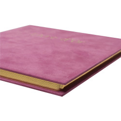 Livre d'or 140 pages tranche or Skandi