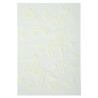 Kit Scrapbooking Album 70 pages noires : Stickers & Pochoirs