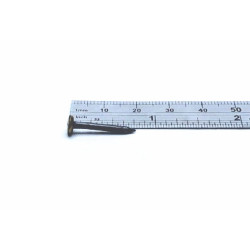 Blister de 20 clous trempés à tête laitonnée - 20 x 2mm