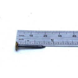 Blister de 20 clous trempés à tête laitonnée - 25 x 2mm