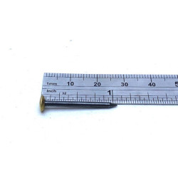 Blister de 20 clous trempés à tête laitonnée - 30 x 2mm (Copie)