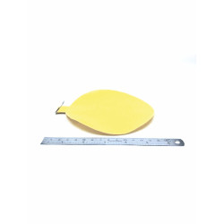 Blister disque renforcé Ø140mm - ENVIRON 3KG