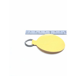 Blister disque renforcé Ø75mm - ENVIRON 1,5KG