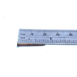 Blister semence 50g - 20 x 1mm - Qualité supérieure