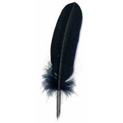 Plume de dinde avec bec métallique