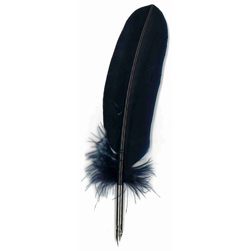 Plume de dinde avec bec métallique