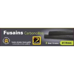 Fusains gros boite de 2