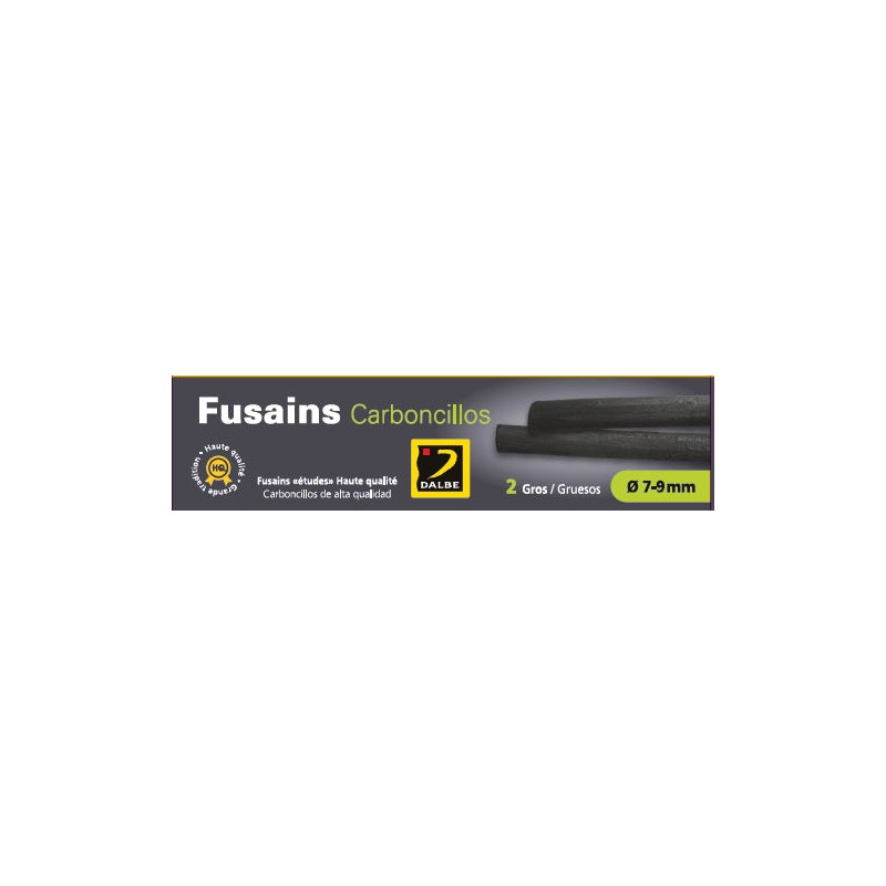 Fusains gros boite de 2