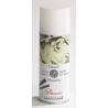 Fixatif Delacroix pastel sec - 400ml