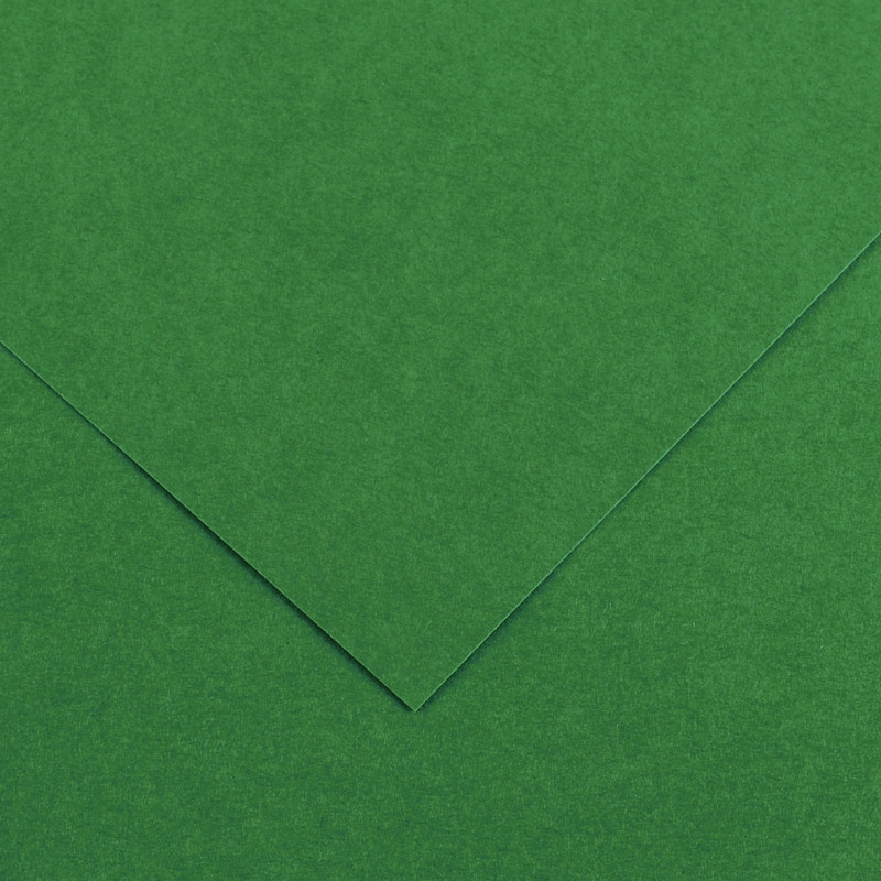 Paquet de 10 feuilles Colorline 50x65 cm 150 g vert mousse