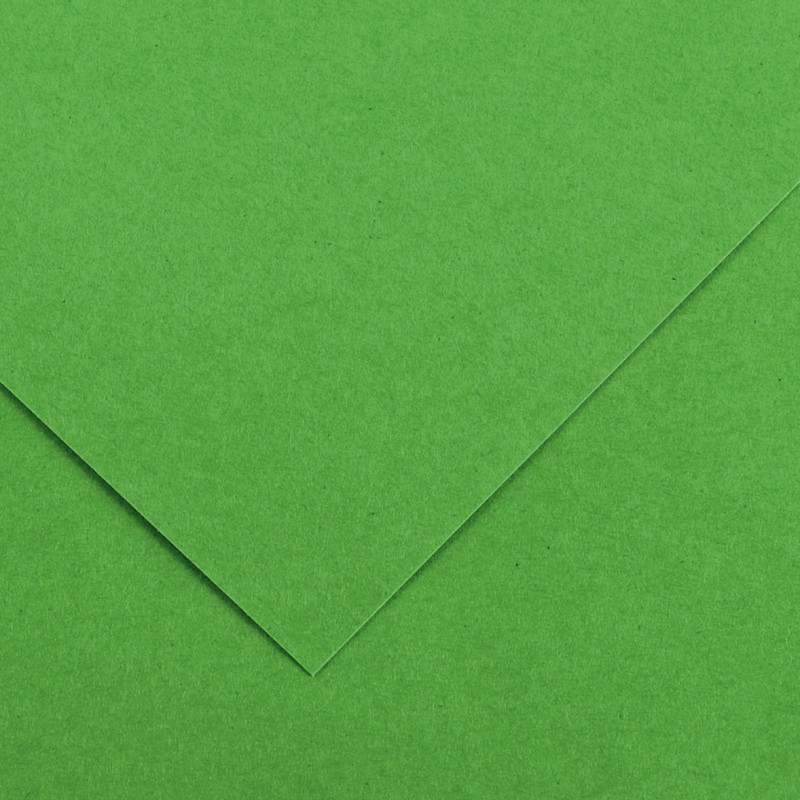 Paquet de 10 feuilles Colorline 50x65 cm 150 g vert franc