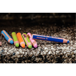 Crayon de couleur Woody or