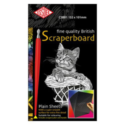 Lot de 10 cartes à gratter 610 x 502 mm